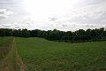 DSC_1186_2